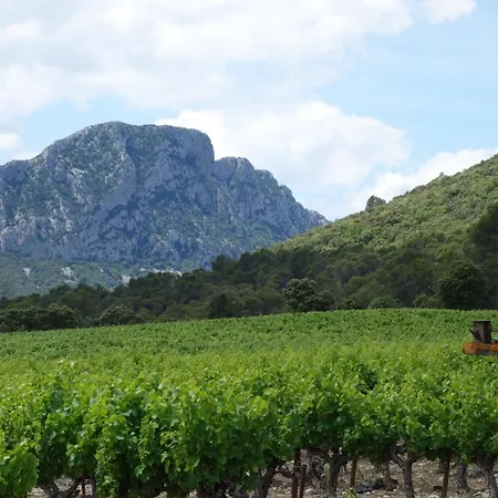 Contemporaine Mediterraneenne Dans Ecrin De Verdure