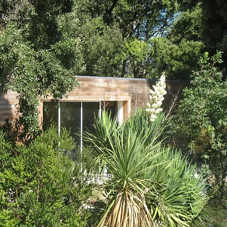 Contemporaine Mediterraneenne Dans Ecrin De Verdure Holiday home Assas